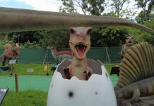 Дино парк – уникалната атракция, която завладя Южното Черноморие