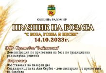 За осми път Радомир събира на празник любителите на бозата