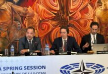 Калин Стоянов по врме на Парламентарната асамблея на НАТО: Сигурността изисква тесен диалог между институции, организации, гражданско общество и медии