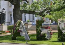 Калин Стоянов за 24 май: днешния празник е повод за гордост за всички, които ценим българския език и силата на знанието