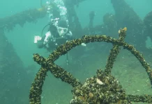 Тайни от морското дъно в Музейния център в Созопол