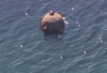 България, Румъния и Турция започнаха операции по разминиране на Черно море