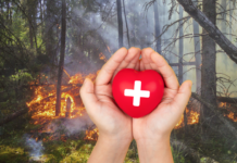 БЧК организира кампания в помощ на засегнатите от пожарите – чрез SMS на номер 1466