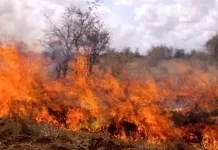 Голям пожар край Бургас