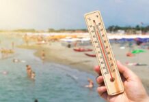 В началото на август идват жегите