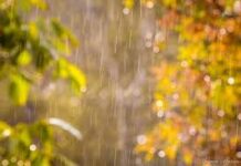 Дъждовно време продължава, температурен контраст между северозапад и югоизток