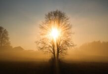 Летните жеги се завръщат през есента – но само за няколко дни