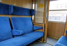 Жена с тежка алергична реакция след ухапвания от дървеници във влак