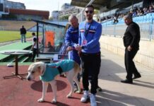 Приют в Бургас насърчава осиновяването на безстопанствени кучета