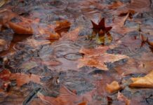 Значителни валежив в Източна България днес