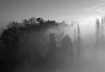 Мъгливо утро, слънчев следобед и умерени температури