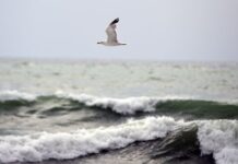 Времето днес: Значителна облачност, но без валежи