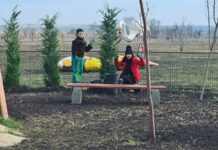 Два нови детски къта ще радват децата в Зоопарк Бургас от следващата година