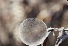 Слънчево време и лек вятър днес