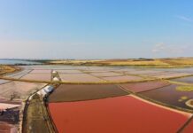 Атанасовско езеро отбелязва Атанасовден с музика, поход и наблюдение на птици