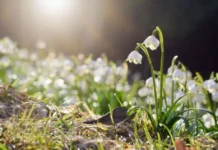 Прогноза за времето: Облачността ще намалява, температурите ще се повишават