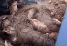 Екипи на ИАРА откриха 100 метрови мрежи в язовир „Мандра“