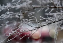 Бургас под снежна покривка: Пътната обстановка остава спокойна