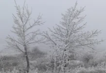 Сняг и застудяване обхващат Южна България, Предбалкана и Лудогорието