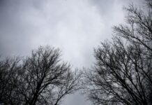 Какво ще бъде времето през първата събота на годината