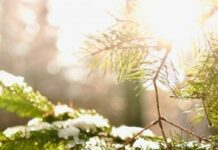 Днес времето ще бъде предимно слънчево