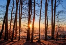 Слънчево време днес