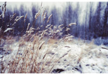 Днес се очакват разкъсана облачност и слънчеви часове следобед