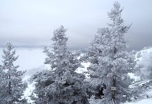 Студено време и снеговалежи в Източна България