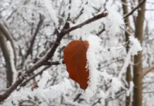 Прогноза за времето: Облачност и слаб сняг през следващото денонощие