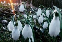 Прогноза за времето: Слънчев ден с пролетни температури