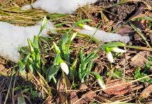 Днес ще бъде слънчево