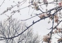 Времето днес