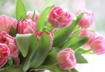 Днес отбелязваме Международния ден на жената