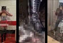 Протест в Бургас за справедлива присъда срещу извършителите на зверства над животни от Перник