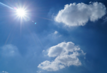 Пролетно време: Топли и слънчеви мартенски дни