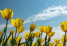 Слънчево начало на деня по морето, с нестабилност в западната част на страната