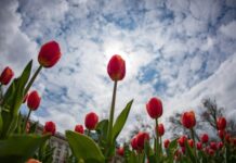 Какво ще бъде времето днес?