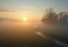 Топло време с намалена видимост в сутрешните часове