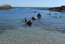 Подводни чудеса на Южното Черноморие: Водолази картографираха 28 дайвинг-спота