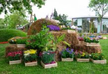 Над 100 участници ще демонстрират таланта си на юбилейната изложба „Флора Бургас“ 2025