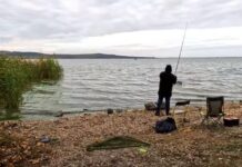 Въвеждат забрана за риболов през размножителния период на рибите