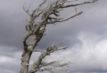 Днес времето в България ще остане необичайно студено и ветровито