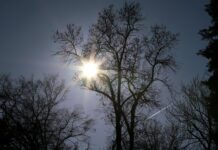 Прогноза за времето в първия ден от седмицата