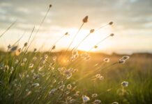 По Черноморието ще бъде предимно слънчево, температурите достигат до 26°