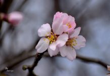 Времето днес- сутрешно слънце, следобедни валежи и гръмотевици