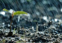 Дъждовно време с временни прекъсвания в страната