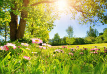 Слънчево и свежо: Пролетта се настанява трайно в Бургас