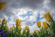 Краткотрайни валежи и гръмотевици в Южна България на 12 май