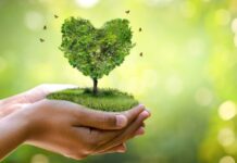 Още активности, посветени на опазването на околната среда, ще се проведат в Бургас през следващата седмица