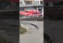 „Тревога в Бургас: Необичайна военна активност тревожи гражданите“